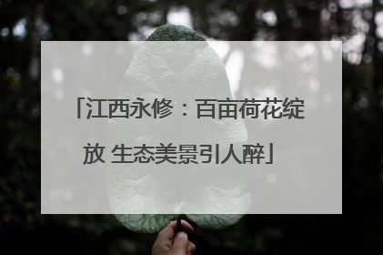 江西永修：百亩荷花绽放 生态美景引人醉
