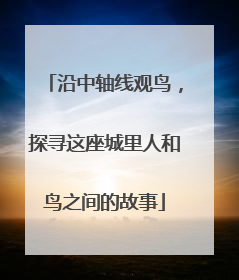 沿中轴线观鸟，探寻这座城里人和鸟之间的故事