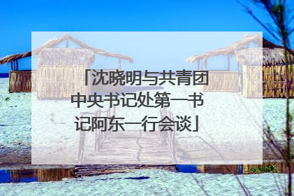 沈晓明与共青团中央书记处第一书记阿东一行会谈