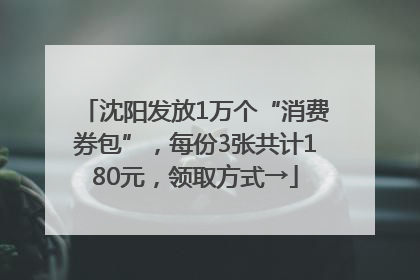 沈阳发放1万个“消费券包”，每份3张共计180元，领取方式→