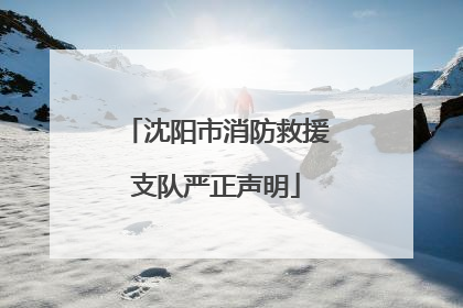 沈阳市消防救援支队严正声明