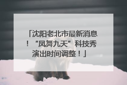 沈阳老北市最新消息！“凤舞九天”科技秀演出时间调整！