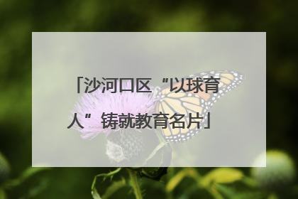 沙河口区“以球育人”铸就教育名片
