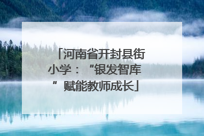 河南省开封县街小学：“银发智库”赋能教师成长