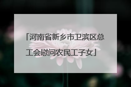 河南省新乡市卫滨区总工会慰问农民工子女