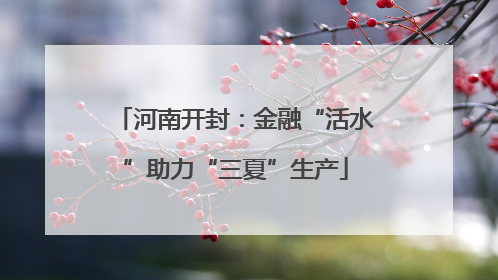 河南开封：金融“活水”助力“三夏”生产