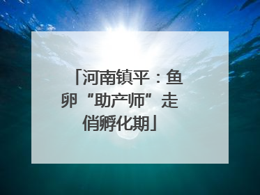 河南镇平：鱼卵“助产师”走俏孵化期