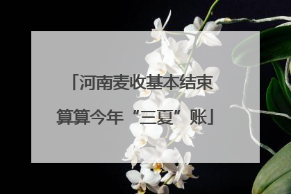 河南麦收基本结束 算算今年“三夏”账