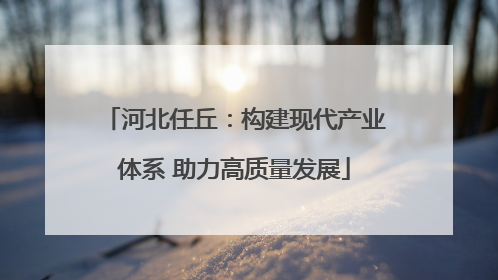 河北任丘：构建现代产业体系 助力高质量发展