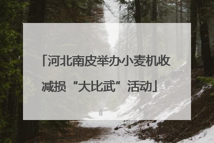河北南皮举办小麦机收减损“大比武”活动