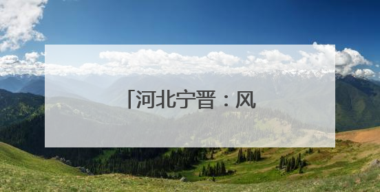 河北宁晋：风吹麦浪夏收忙