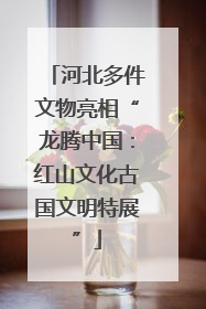 河北多件文物亮相“龙腾中国：红山文化古国文明特展”