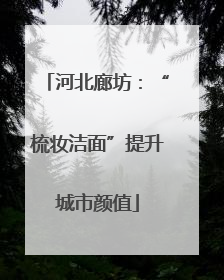河北廊坊：“梳妆洁面”提升城市颜值