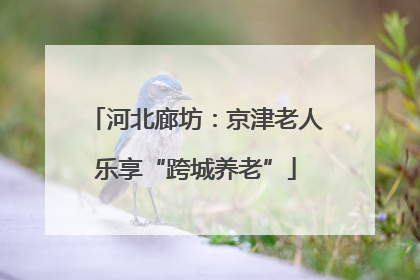 河北廊坊：京津老人乐享“跨城养老”