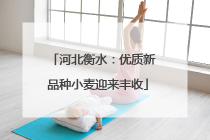 河北衡水：优质新品种小麦迎来丰收