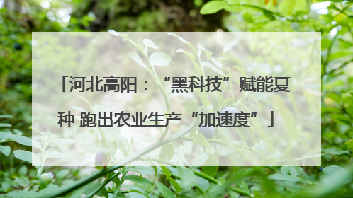 河北高阳：“黑科技”赋能夏种 跑出农业生产“加速度”