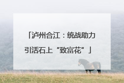泸州合江：统战助力引活石上“致富花”