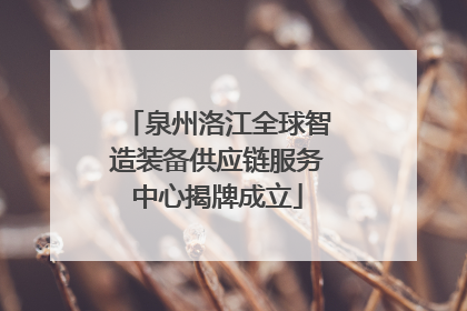泉州洛江全球智造装备供应链服务中心揭牌成立