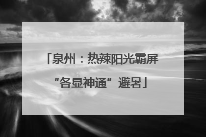 泉州：热辣阳光霸屏 “各显神通”避暑