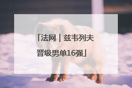 法网｜兹韦列夫晋级男单16强