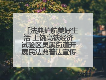 法典护航美好生活 上饶高铁经济试验区灵溪街道开展民法典普法宣传月系列活动
