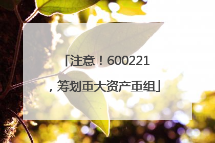 注意！600221，筹划重大资产重组