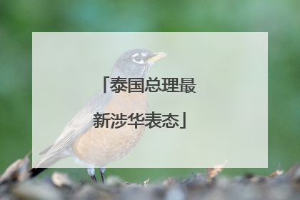 泰国总理最新涉华表态