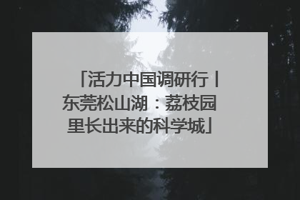 活力中国调研行丨东莞松山湖：荔枝园里长出来的科学城