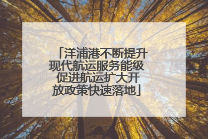 洋浦港不断提升现代航运服务能级 促进航运扩大开放政策快速落地