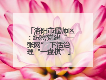 洛阳市偃师区：织密党建“一张网” 下活治理“一盘棋”