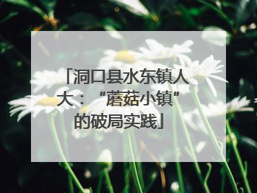 洞口县水东镇人大：“蘑菇小镇”的破局实践