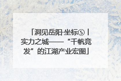 洞见岳阳·坐标⑤丨实力之城——“千帆竞发”的江湖产业宏图