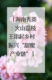 海南秀英：火山荔枝王串起乡村振兴“甜蜜产业链”
