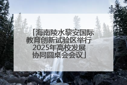 海南陵水黎安国际教育创新试验区举行2025年高校发展协同圆桌会会议