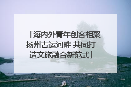 海内外青年创客相聚扬州古运河畔 共同打造文旅融合新范式