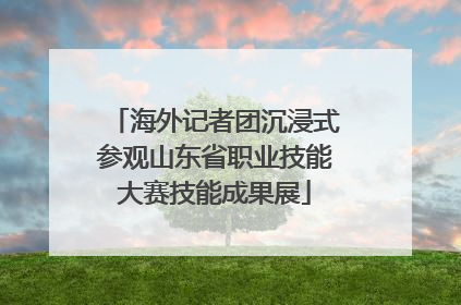 海外记者团沉浸式参观山东省职业技能大赛技能成果展