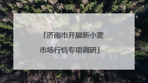 济南市开展新小麦市场行情专项调研