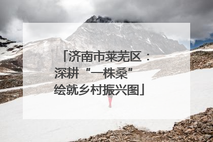 济南市莱芜区：深耕“一株桑” 绘就乡村振兴图