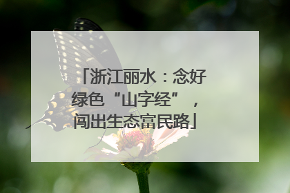 浙江丽水：念好绿色“山字经”，闯出生态富民路