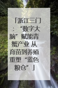 浙江三门：“数字大脑”赋能青蟹产业 从育苗到养殖重塑“蓝色粮仓”