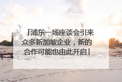 浦东一场座谈会引来众多新加坡企业，新的合作可能也由此开启