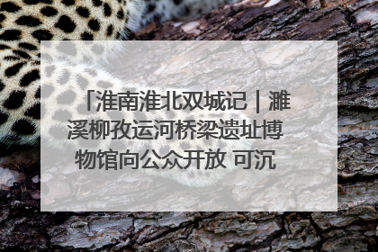 淮南淮北双城记｜濉溪柳孜运河桥梁遗址博物馆向公众开放 可沉浸式触摸历史