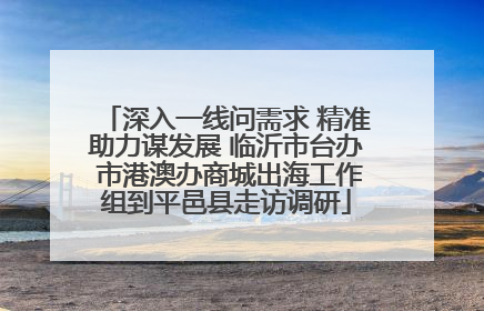 深入一线问需求 精准助力谋发展 临沂市台办 市港澳办商城出海工作组到平邑县走访调研