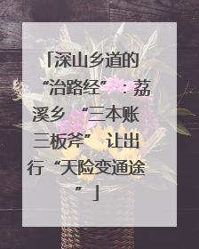 深山乡道的 “治路经”：荔溪乡 “三本账三板斧” 让出行“天险变通途”