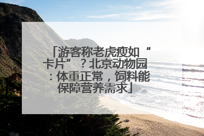 游客称老虎瘦如“卡片”？北京动物园：体重正常，饲料能保障营养需求