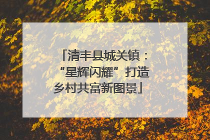 清丰县城关镇：“星辉闪耀”打造乡村共富新图景