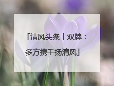 清风头条丨双牌：多方携手扬清风