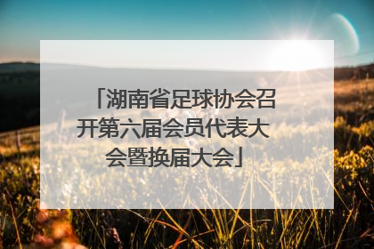 湖南省足球协会召开第六届会员代表大会暨换届大会
