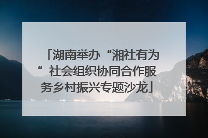 湖南举办“湘社有为”社会组织协同合作服务乡村振兴专题沙龙