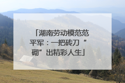 湖南劳动模范范平军：一把砖刀“砌”出精彩人生